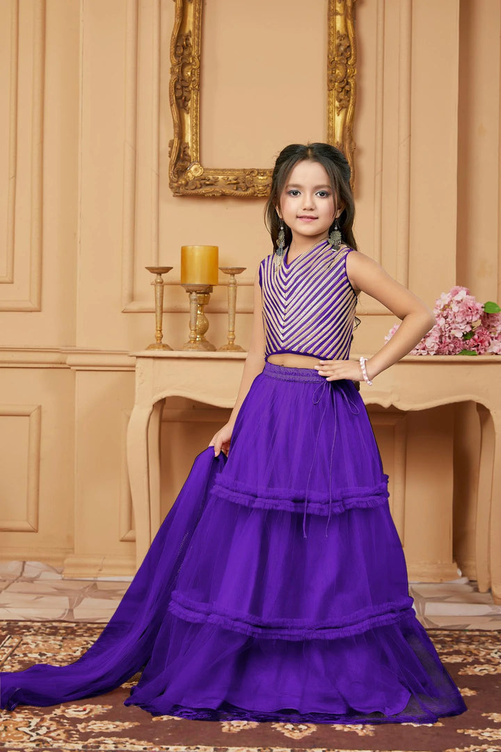 Dark Purple Embroidered A Line Lehenga Choli Dupatta