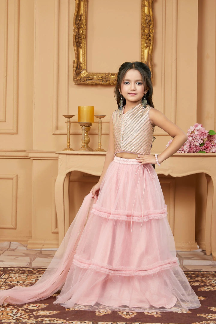 Pink Embroidered A Line Lehenga Choli Dupatta