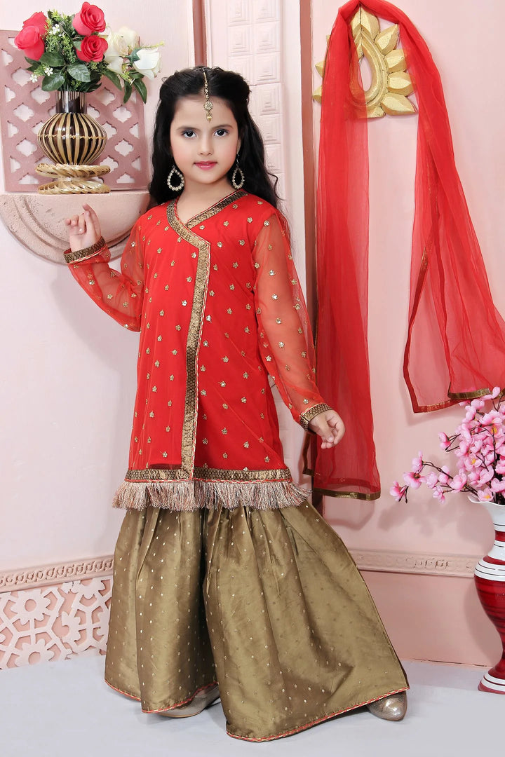 Red Embroidered Net Straight Kids Salwar Suit