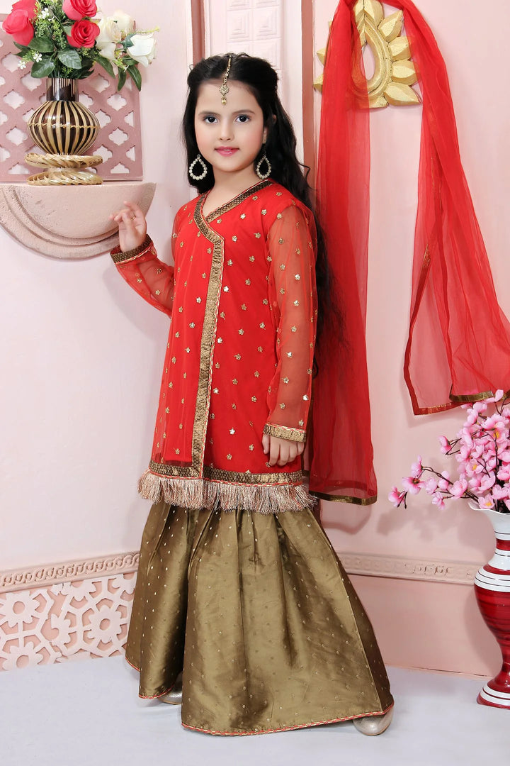 Red Embroidered Net Straight Kids Salwar Suit