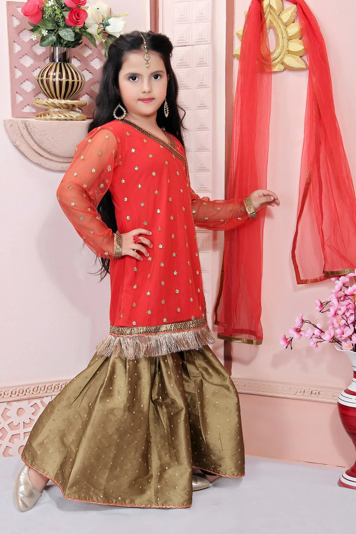 Red Embroidered Net Straight Kids Salwar Suit