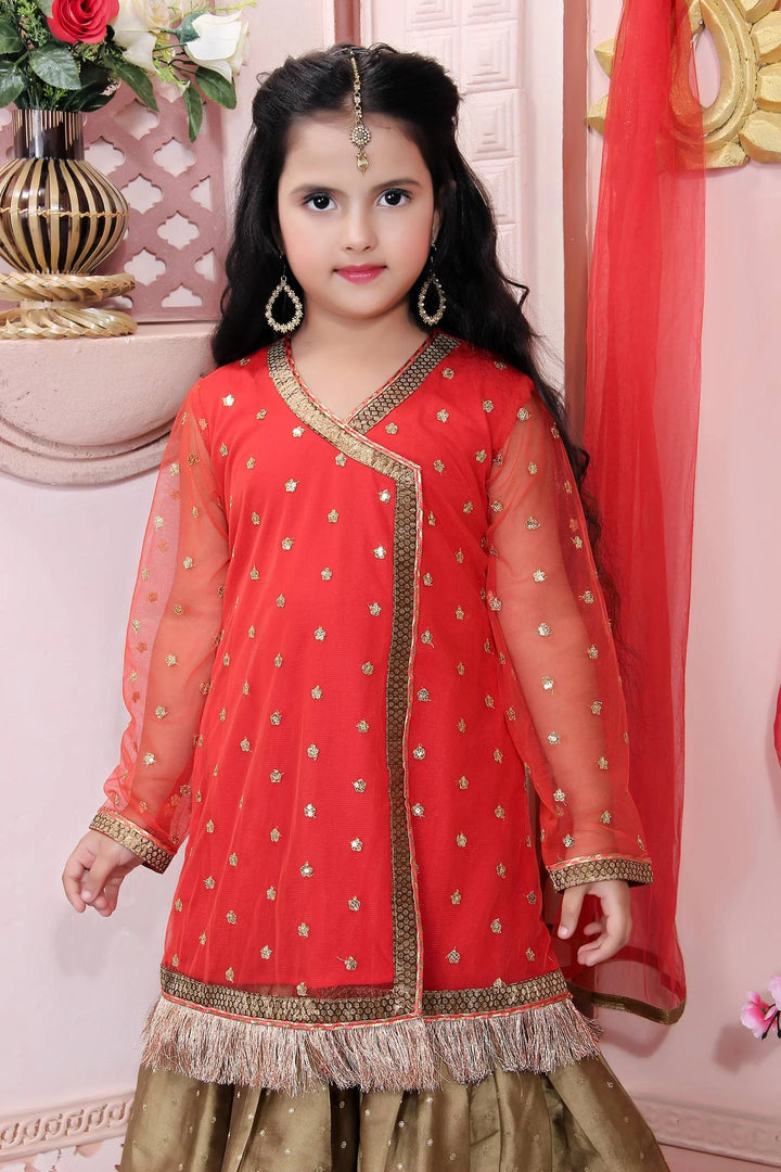 Red Embroidered Net Straight Kids Salwar Suit