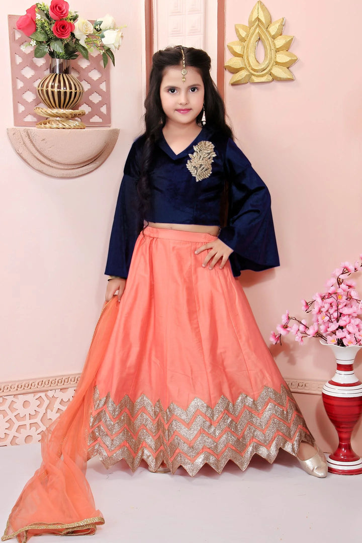 Blue Embroidered Cotton A Line Lehenga Choli Dupatta