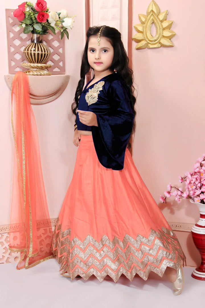Blue Embroidered Cotton A Line Lehenga Choli Dupatta