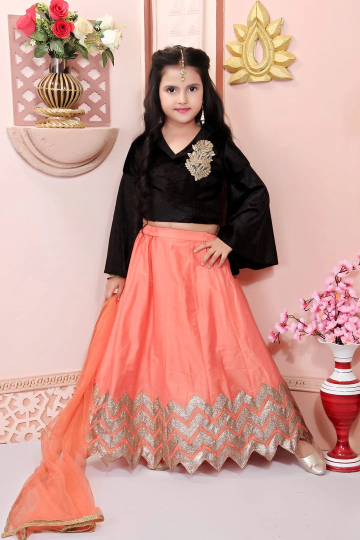 Black Embroidered Cotton A Line Lehenga Choli Dupatta