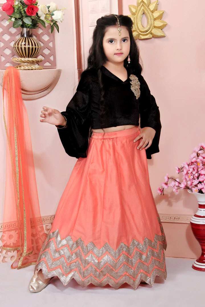 Black Embroidered Cotton A Line Lehenga Choli Dupatta