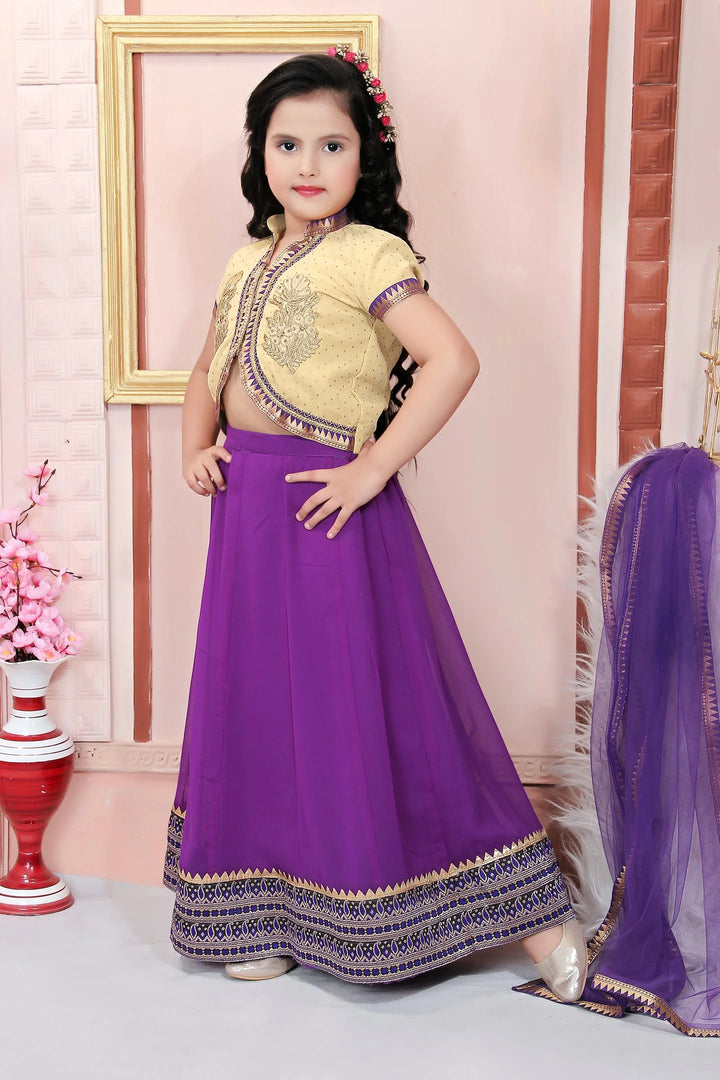 Beige Embroidered Cotton A Line Lehenga Choli Dupatta