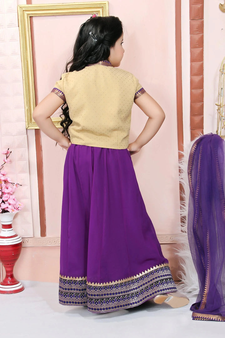 Beige Embroidered Cotton A Line Lehenga Choli Dupatta